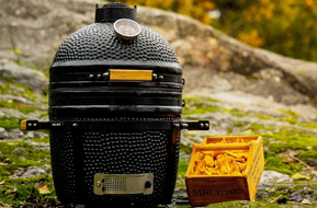 Which Auplex Kamado Grills is Right for You?