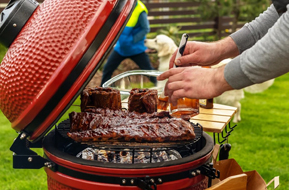 Which Auplex Kamado Grills is Right for You?
