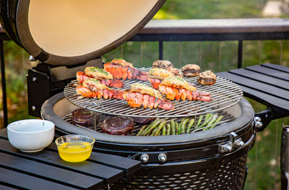 Which Auplex Kamado Grills is Right for You?