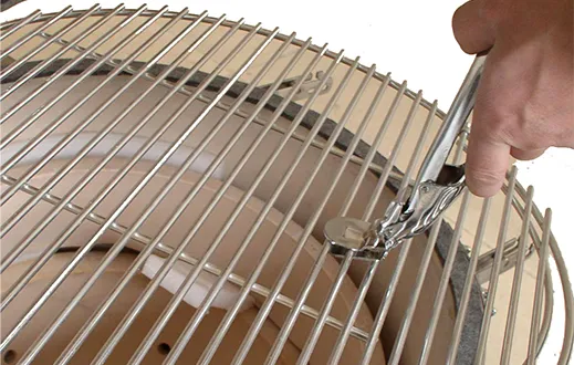 roast nets clip choose